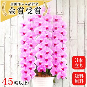 j Ӓ sN 3{ 45-51  A ړ] lC T JX j v[g  ͂Ȃ₩ m Ԕ JXĵ 1N  Nj ړ]j JtF ԃMtg 