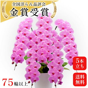 j Ӓ sN 5{ 75-85 5{ j̉  ړ] a@ JXj     A v[g m  JXĵ Ԕ JX 1N J@j JƏj ړ]j Jt