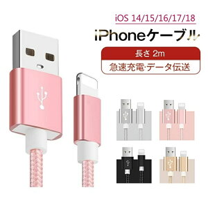 iPhoneP[u  2m }[dP[u [d f[^]P[u USBP[u iPadp iPhonep iPhone14 iPhone13 iPhone12 iPhone11 XS Max XR X 8 7 6s/6/PLUS S3ۏ X}zP[u iC҂ 