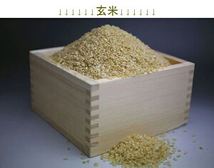 VOhYƐ ߘa7NY RVqJ  20kg 10kg×2 100%V 肪S 100% 