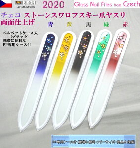 2020 `FRKX܃X 14cm ʎdグ pP[Xt XtXL[ ( `FRKX ܂₷ ) [ 