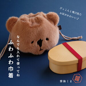 yzВ ݖ 23cm 15cm |GXe 낭 zbLNO} F CDF etendue CDFG^f l킢G rXN