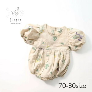 hJlp[X Bisque т ؍q rXN LbY xr[ Ԃ ̎q i` Vv  킢   xr[ hJ l p[X  R