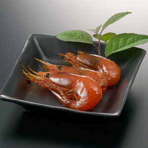 y~GzÊCVØI8yTSSz[񂹒ώ Gr][  ① 2026]