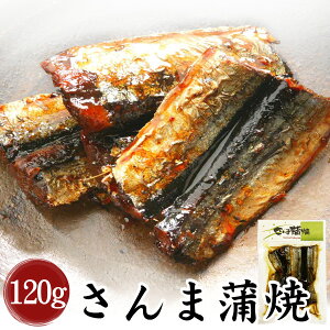 yO͂(ØI)bHiz܊120g(^pbN)y^z[吳11Nn V ώω][т̂  ώ][H T}    ܘ 퉷]yNlR
