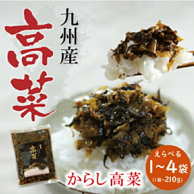 九州産高菜 からし高菜 たかな 高菜 ピリ辛 辛旨 国産 送料無料 メール便 高菜漬け 昔ながらの味 ご飯のお供 高菜飯 高菜チャーハン シャキシャキ 風味豊か 福岡県産 伝統製法 国内製造