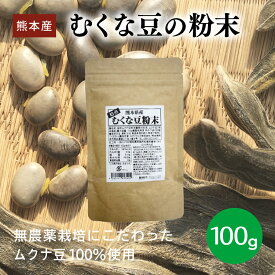 むくな豆の粉末 ムクナ豆 熊本産 国産 無添加 無着色 原料100％ 粉末 パウダー 無農薬 無農薬栽培 天然素材 サラサラ 溶けやすい 常温保存 国産 無添加 メール便 ネコポス 送料無料