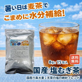 塩麦茶 塩むぎ茶 六条麦茶 天然素材 夏の水分補給 熱中症対策 香り豊か 常温保存 無添加 ノンカフェイン 水出し 煮出し 国産 無添加 メール便 送料無料