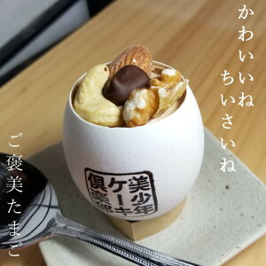 J܂ `R Xt 8×2Zbg ʏP[L̑傫16  ~jP[L P[L fU[g mَq XC[c  A\[g v[g 蕨 ق ̓