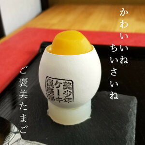 J܂ 萶Xt 8×2Zbg ʏP[L̑傫16 I  ~jP[L P[L fU[g mَq XC[c  A\[g v[g 蕨 ق 