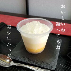 N J`[Y Xt 8 킢  ~jP[L JbvP[L fU[g@mَq XC[c ق  v[g 蕨 ̓ 