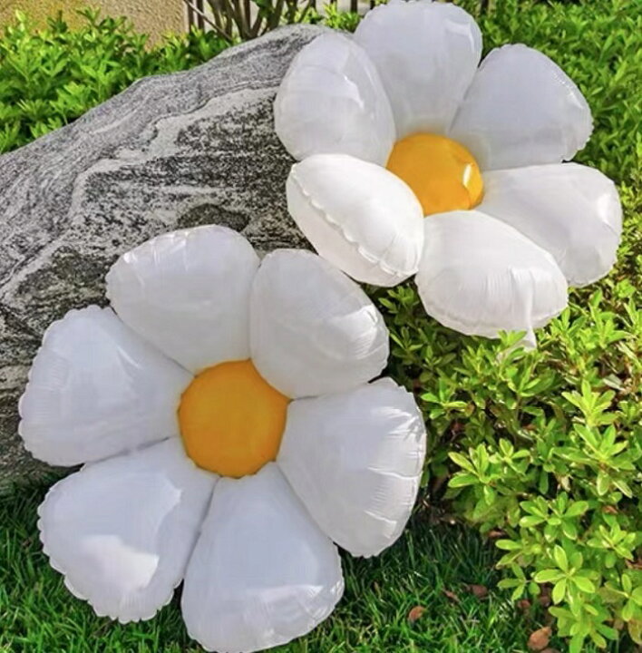 楽天市場 デイジー風船 5枚セット 誕生日 バルーン 誕生日 飾り付け お花 フラワー バルーン パーティーグッズ 花バルーン 花風船 ヒナギク バルーン 白バルーン 可愛いバルーン 白 数字バルーン 100日お祝い デイジー風船 微笑ライフ