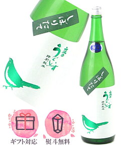 ̂ ڂ肽 ʏĐ 1800mly2025N10z{^R𑢏 