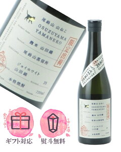 R˂ Rc WCzCg 25x Ē 720ml ^ؖ{X R {茧