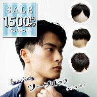 【1500円offクーポン配布中】新商品 ウィッグ メンズ 自然 ツーブロック 人毛100% ばれない 日本仕上げ …