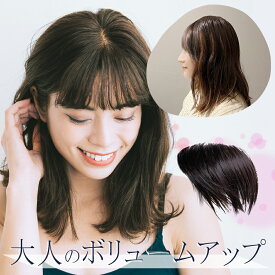 ナチュラルウィング 部分ウィッグ 自然 高品質 ウィッグ ウイッグ 人毛100% ヘアピース 約17cm 通気性 分け目 つむじカバー 頭頂部 軽量 医療用 円形脱毛 脱毛症 医療用 薄毛 白髪 白髪隠し 抗がん剤治療 母の日 [n/1]