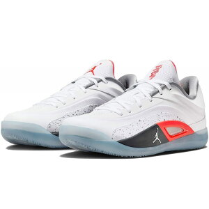 [�i�C�L] �U�C�I�� 4 PF ZION 4 PF �z���C�g/�t�H�g���_�X�g/�_�[�N�X���[�N�O���[/�C���t�����b�h23 FD0591-103