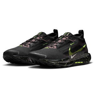 ナイキ ペガサス トレイル 5 GORE-TEX FQ0908 (トレッキングシューズ 