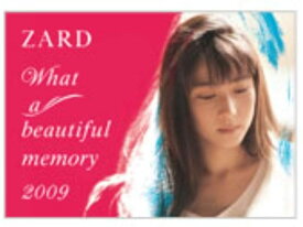 ZARD（ザード）What a beautiful memory 2009 パンフレット