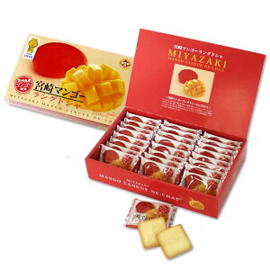 TVh}/CMłb!!yЏiz{}S[OhV 24 2011N/2020N hZNV܎ {VbvAhXg