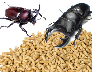 }bg ybg ybg}bg JugV NK^ p 1.2L R ׂh~ L RoGy