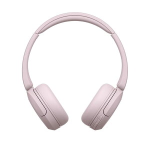 �\�j�[ ���C�����X�w�b�h�z�� WH-CH520:Bluetooth�Ή�/�y�ʐ݌v ��147g/��p�A�v���Ή��ɂ��D�݂̉����ɃJ�X�^�}�C�Y�ł���u�C�R���C�U�[�v�ݒ�Ή� WH-CH520 B �� & TP-Link Bluetooth USB Bluet