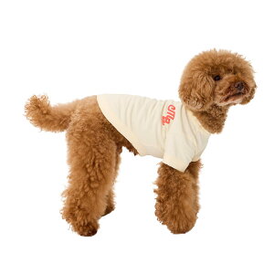 MANDARINE BROTHERS }_uU[Y ptB[SN[TVc PUFFY LOGO COOL TEE   N[ ĕ h