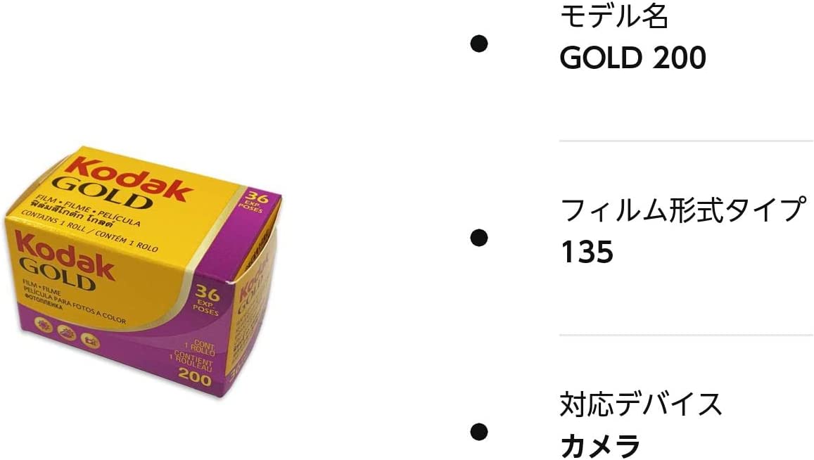 デポー Kodak カラーネガティブフィルム GOLD 200 120 10本パック