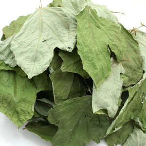 charm(`[) Y ̗t 20g ppbN ̂ Y F