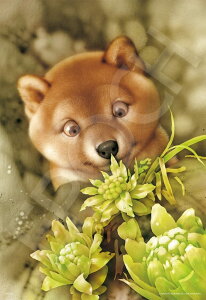 G|bN 300s[X WO\[pY CXg/A[g 