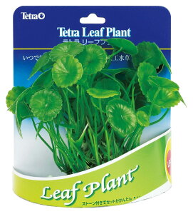 eg (Tetra) [tvg LP-7 lH ANZT[ 