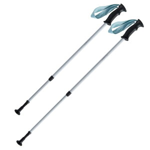 リラクシングワーク フィットネスグッズ 杖 ステッキ SUNPO WALKER(サンポウォーカー) ブルー WH1600-27