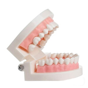 ͌^ ^f `͌^ wKp wp f^f ȉq oPAKp ͌^