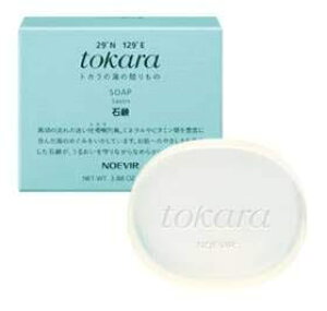 mGrA gJ̊C̐Ό(110g)