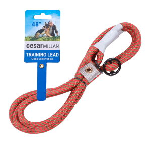 Xbv[h V[U[~ Cesar MillanyKiz 120cm 1-1.2cm yEI hbOg[i[ ďCz h~ U g[jO ^ ^ (bhI[u, M[y