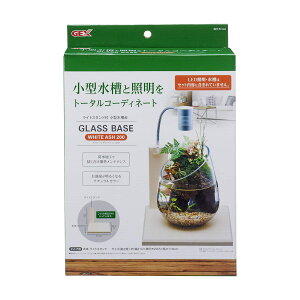 WFbNX GEX AQUARIUM OXx[X