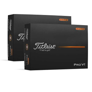 �^�C�g���X�g PRO V1 2025 �n�C�i���o�[�E�z���C�g�y2�_�[�X�Z�b�g(24��)�z