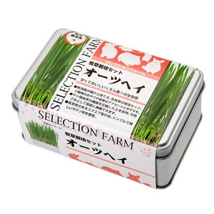 C[X^[ ZNVt@[ q͔|Zbg I[cwC