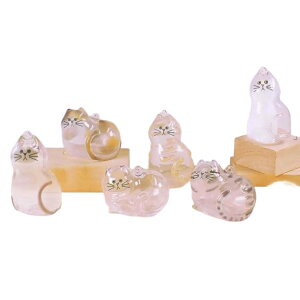 uCgN ̎q̂܂(Ĕ) × S6Zbg tRv K`K` JvZgC