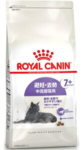 CJi XeACYh7+ DEő₷Lp 7΁`12