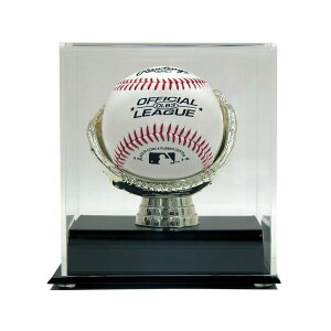 ANS[hOu̖싅{[pfBXvCP[X