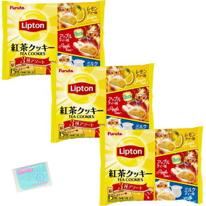 Monolog Style t^ vggNbL[ 15 ×3܃Zbg XX{܃IWi|PbgeBbVt