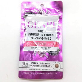 GENBI 22.5g（250mg×90粒）