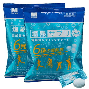 �~�h�����S ���M�T�v�� �\�[�_ �Ɩ��p 168g�i��120����/��j2�� �Z�b�g