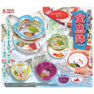 gCYXsbc {̕ }XRbg  × S5Zbg tRv K`K` JvZgC