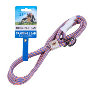 Xbv[h V[U[~ Cesar MillanyKiz 120cm 1-1.2cm yEI hbOg[i[ ďCz h~ U g[jO ^ ^ (IWu[, M[y