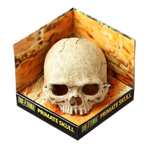 GL]e GEX EXOTERRA XJ PT2855 ঒ޗpVF^[ I[ig B oXLOX|bg W12×D15×H11.5cm
