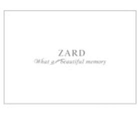 ZARD（ザード）坂井泉水「What a beautiful memory 2007」 パンフレット