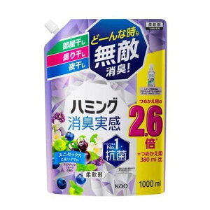 yԉzn~OL ANAeBbNt[c̍ ߂p TCY 1000ml