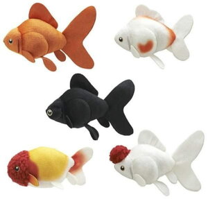 权Nu 킢 킢 ʂ  × S5Zbg tRv K`K` JvZgC